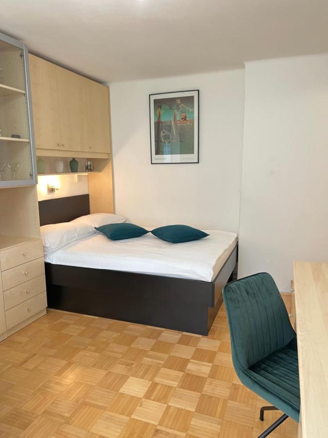 Luxury Studio Apartments Ljubljana Ngoại thất bức ảnh
